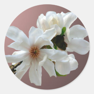 Adesivo Magnolia Stellata Envelope Seal Sticker
