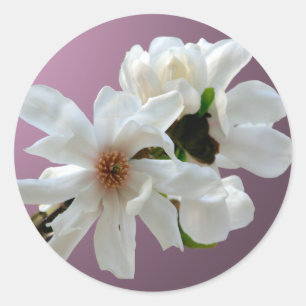 Adesivo Magnolia Stellata Envelope Seal Sticker