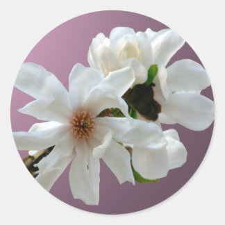 Adesivo Magnolia Stellata Envelope Seal Sticker