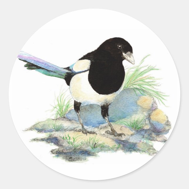 Adesivo Magpie - Ave Aquarela (Frente)