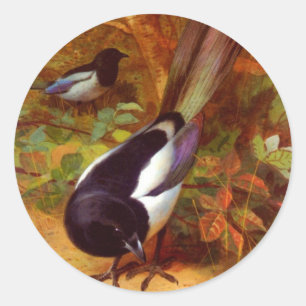 Adesivo Magpies