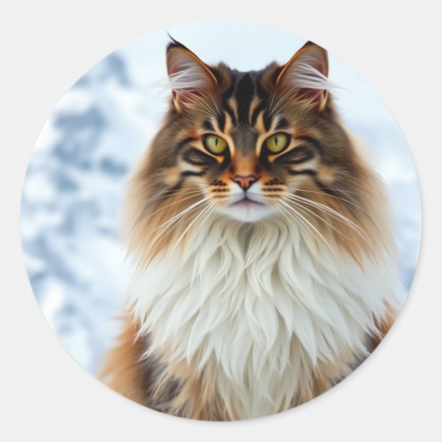Adesivo Maine Coon Cat em um retrato de neve selvagem (Frente)