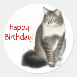 Adesivo Maine Coon Cat Happy Birthday