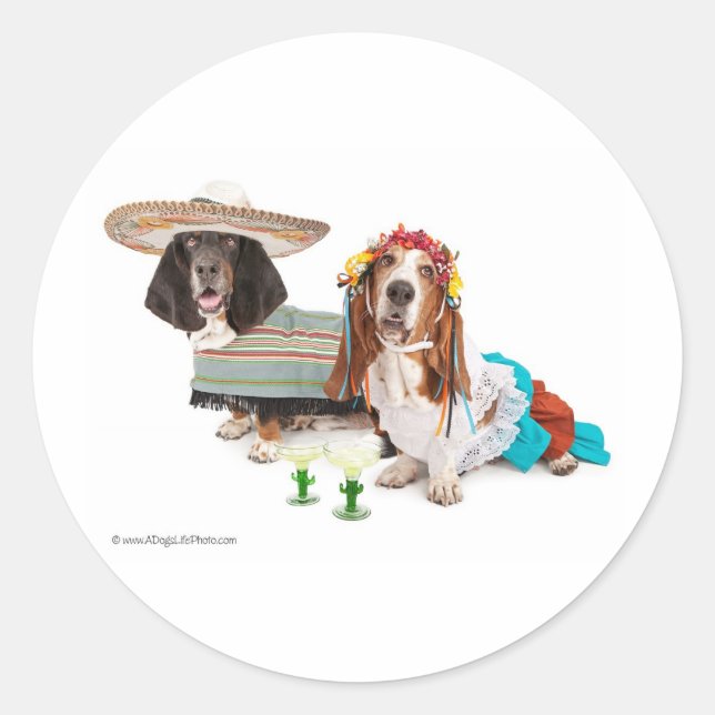 Adesivo Maio (Frente)