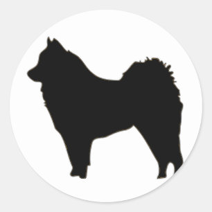 Adesivo mais eurasier