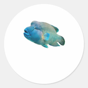 Adesivo Majestoso Peixe-Napoleão Bali Art).