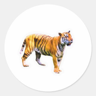 Adesivo Majestoso Tigre de Sumatra - Conservação da Vida S