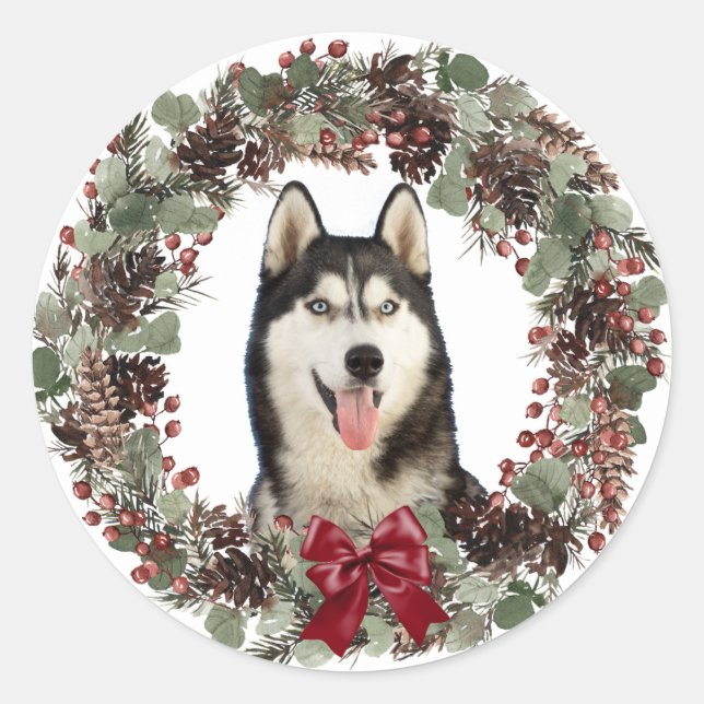 Adesivo Malamute Cão Vermelho Arco Pinecone Muro de Natal (Frente)