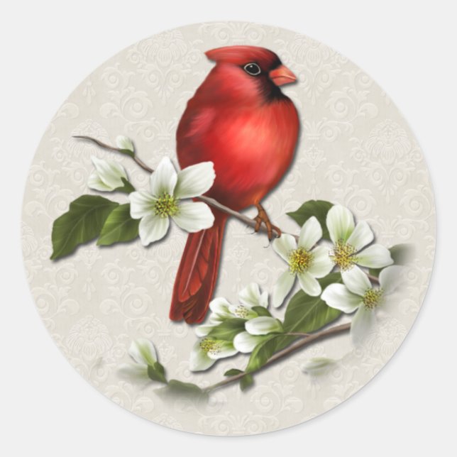Adesivo Male Cardinal e Dogwood Sticker (Frente)