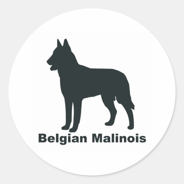 Adesivo Malinois belgas (Frente)