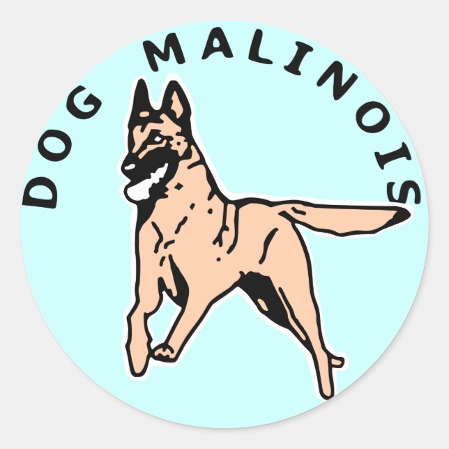 Adesivo malinois courrant (Frente)