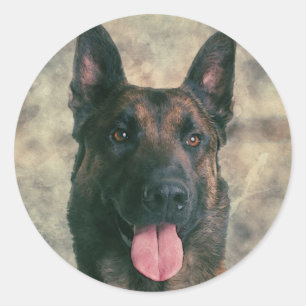 Adesivo Malinois - pastor belga - Mechelaar - Maligator