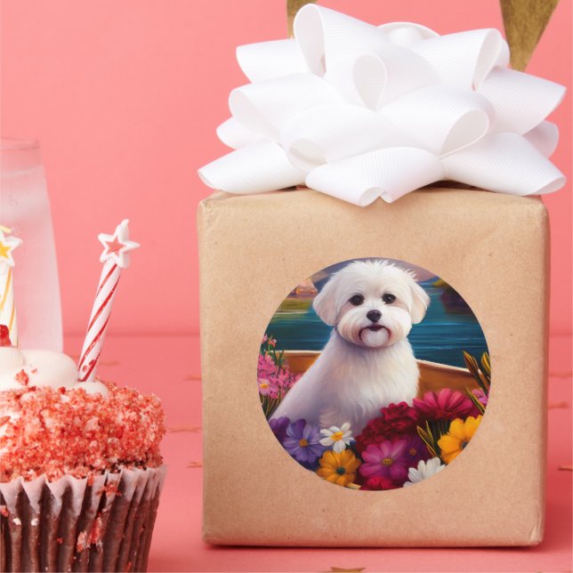 Adesivo Maltês em um remo: Uma aventura cênica (Festa)