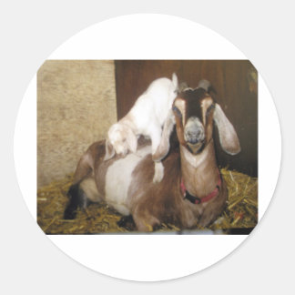 Adesivo Mamãe e Baby Goat