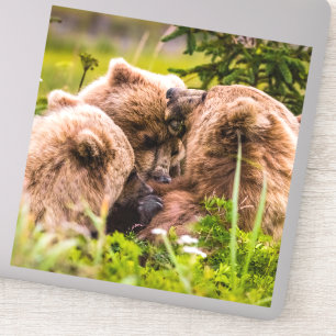 Adesivo Mamãe urso cuidando de seus dois filhotes, Lago Cl