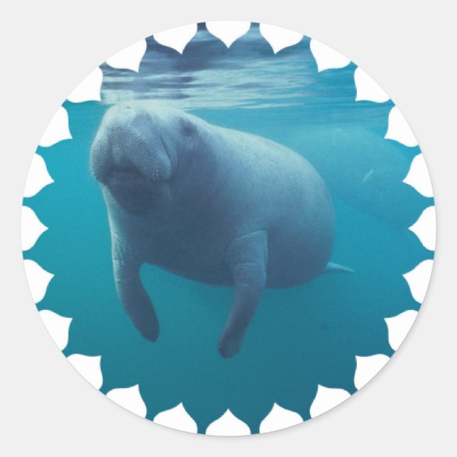 Adesivo Manatee Stickers (Frente)