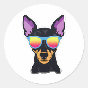 Adesivo Manchester Terrier em Legal óculos de sol clássico