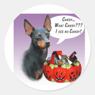 Adesivo Manchester Terrier Halloween Candy