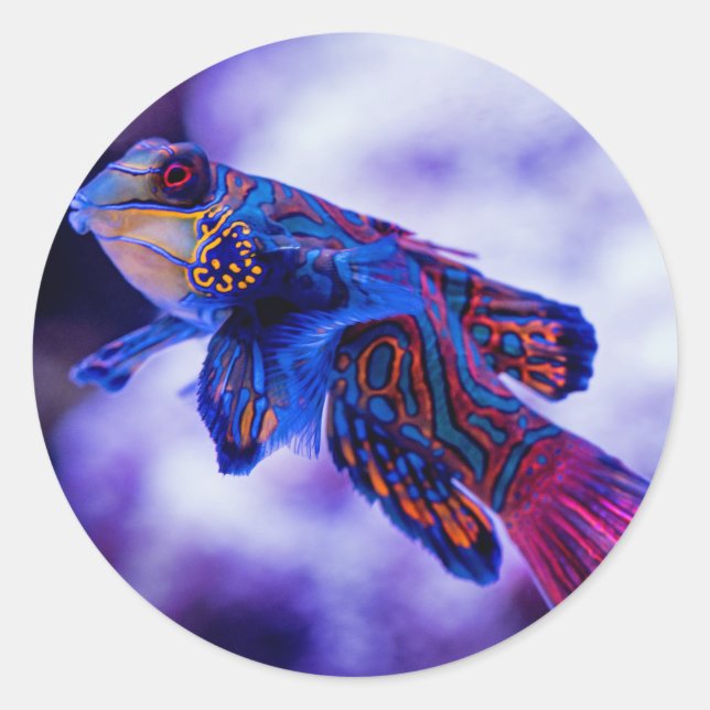 Adesivo Mandarin Goby Fish (Frente)