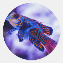 Adesivo Mandarin Goby Fish