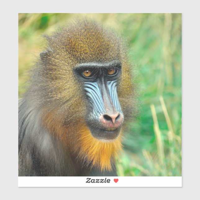 Adesivo Mandrill 002 (Folha)
