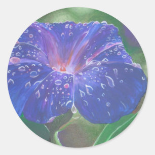 Adesivo Manhã Glória (Ipomoea Purpurea) Petais e Dew Dr.