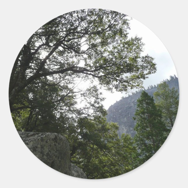 Adesivo Manhã na trilha para as quedas vernais em Yosemite (Frente)