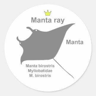 Adesivo Manta ray g5