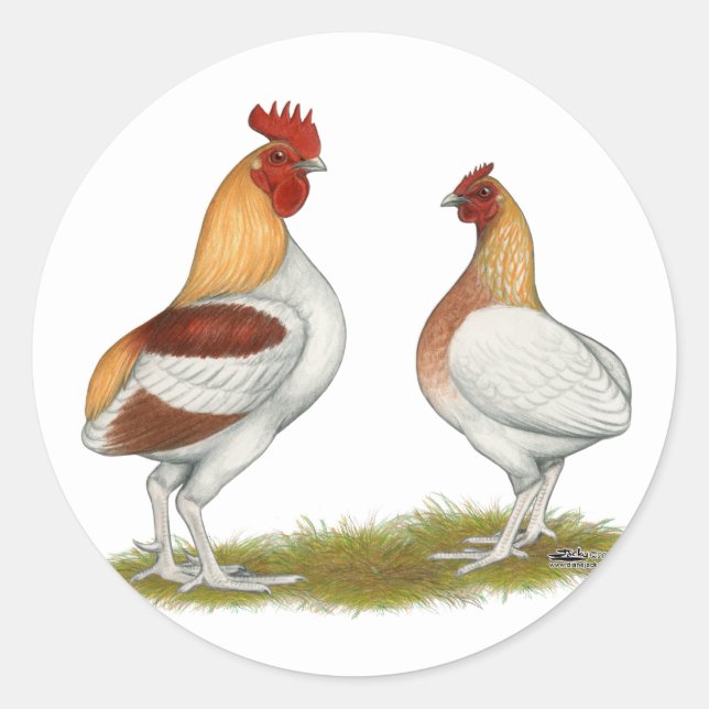 Adesivo Manx Rumpies (Frente)