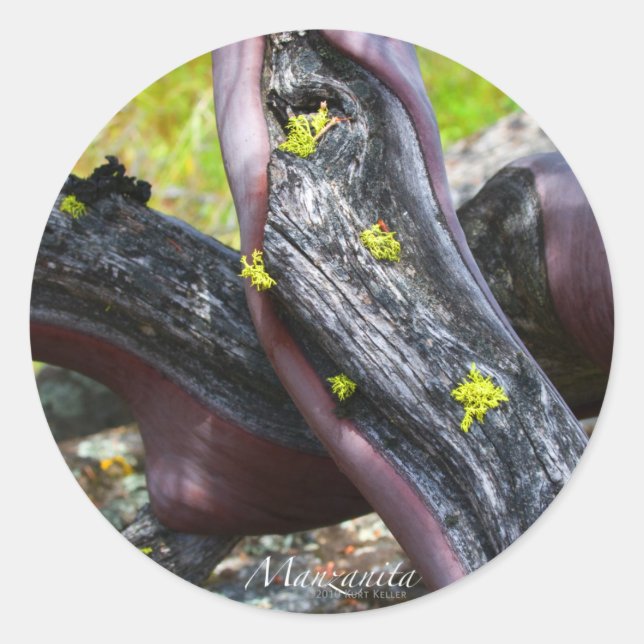 Adesivo Manzanita Sticker (Frente)