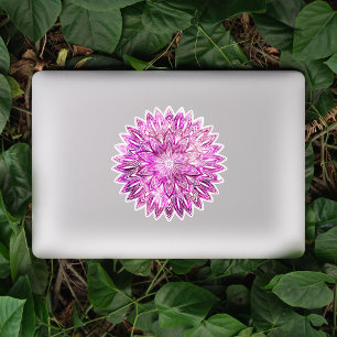 Adesivo Mão pétalas de flores desenhadas cor-de-rosa Manda