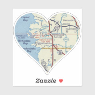 Adesivo Mapa de Vintagem do Homosassa Primaveras