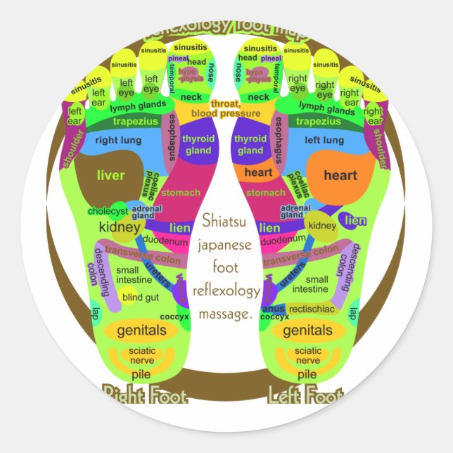 Adesivo mapa reflexológico (Frente)