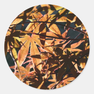 Adesivo Mapeamento abstrato e japonês