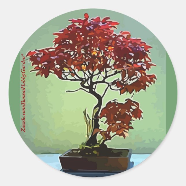 Adesivo Maple Japonês (Frente)