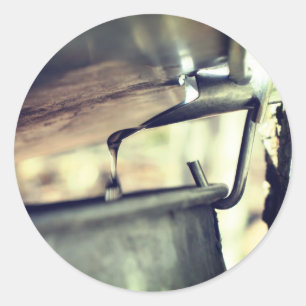 Adesivo Maple Syrup Sap Executando Natureza
