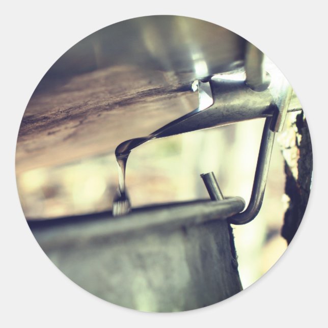 Adesivo Maple Syrup Sap Executando Natureza (Frente)