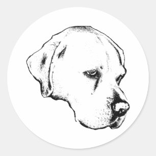 Adesivo Marca de perfil limpo
