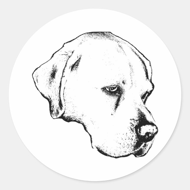 Adesivo Marca de perfil limpo (Frente)
