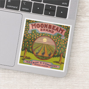 Adesivo Marca do feixe de luz   Rótulo de Citrus Vintage