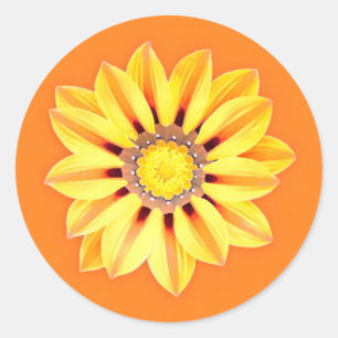 Adesivo Margarida Africana/Gazânia - Laranja e Amarelo