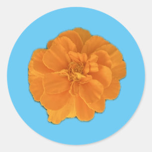 Adesivo Marigold Flower Sticker