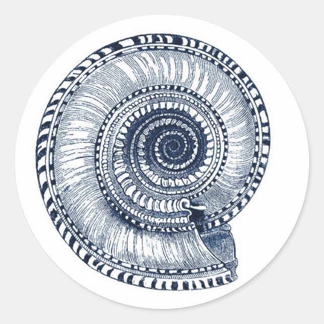 Adesivo Marinho Blue Sea Shell Sticker (Frente)