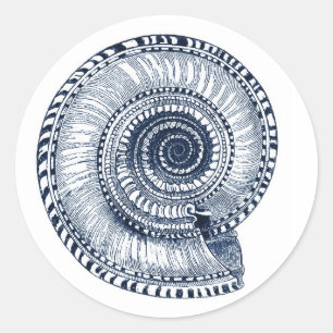 Adesivo Marinho Blue Sea Shell Sticker