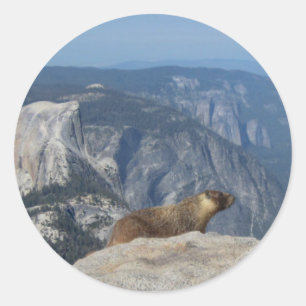 Adesivo Marmot Sobrevivendo a Metade do Come das Nuvens De