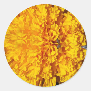 Adesivo Marygold