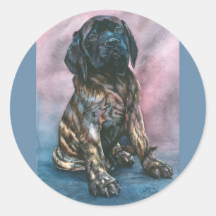 Adesivo Mastiff rajado do bebê