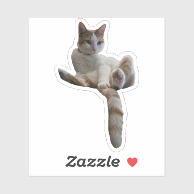 Adesivo Maybe You Should Cover That Up? Cat (Folha)