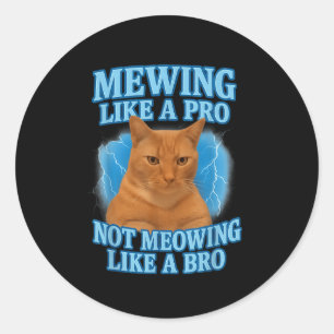 Adesivo Medo Não Significa Memória De Gato Engraçado