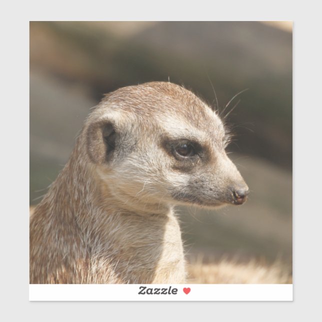 Adesivo Meerkat 048 (Folha)